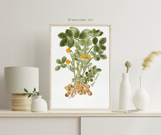 Watercolor Peanut Plant, Digital Download