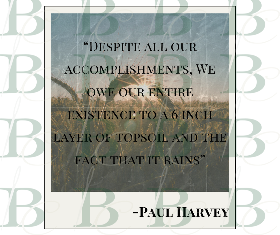 Topsoil and Rain Pocket Tee, Polaroid T