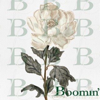 Watercolor Peony, Digital Download